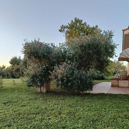Agriturismo Fontelupo Bracciano  Exteriér fotografie