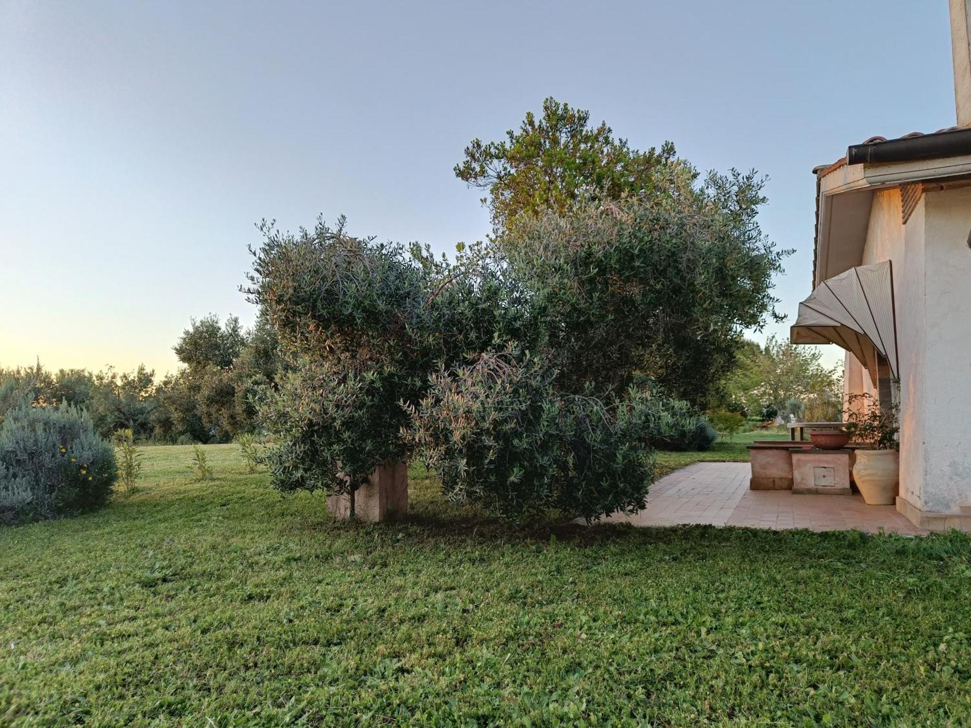 Agriturismo Fontelupo Bracciano  Exteriér fotografie