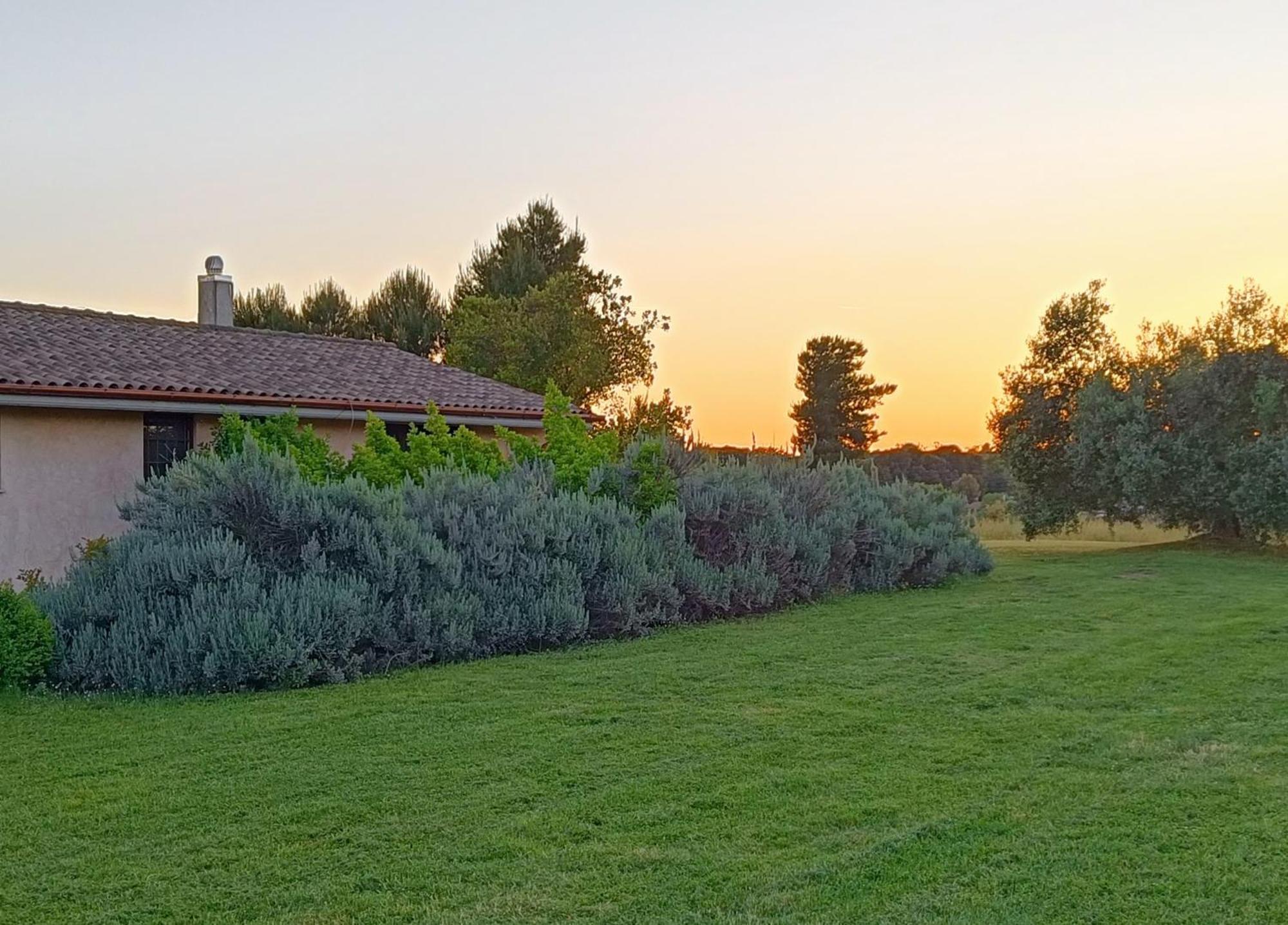 Agriturismo Fontelupo Bracciano  Exteriér fotografie