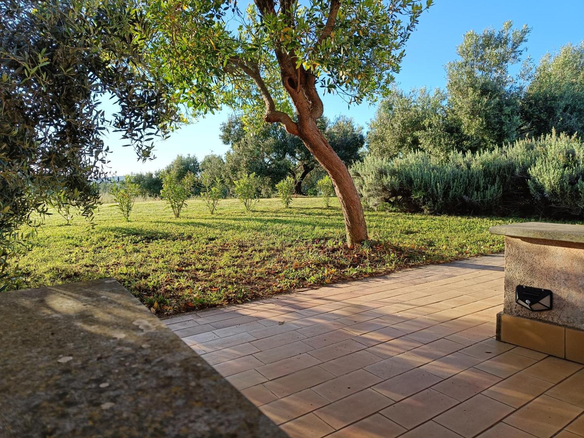 Agriturismo Fontelupo Bracciano  Exteriér fotografie