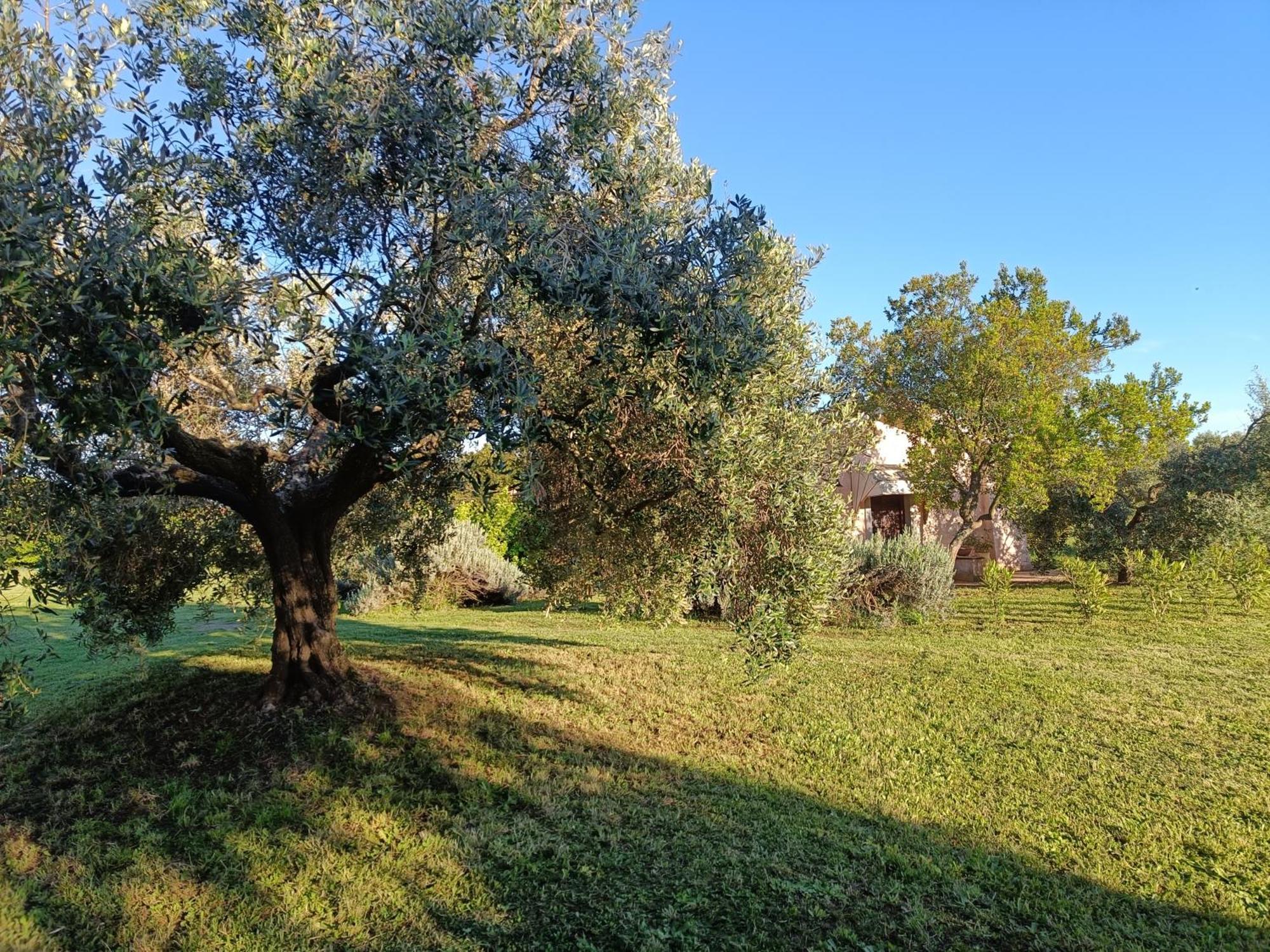 Agriturismo Fontelupo Bracciano  Exteriér fotografie