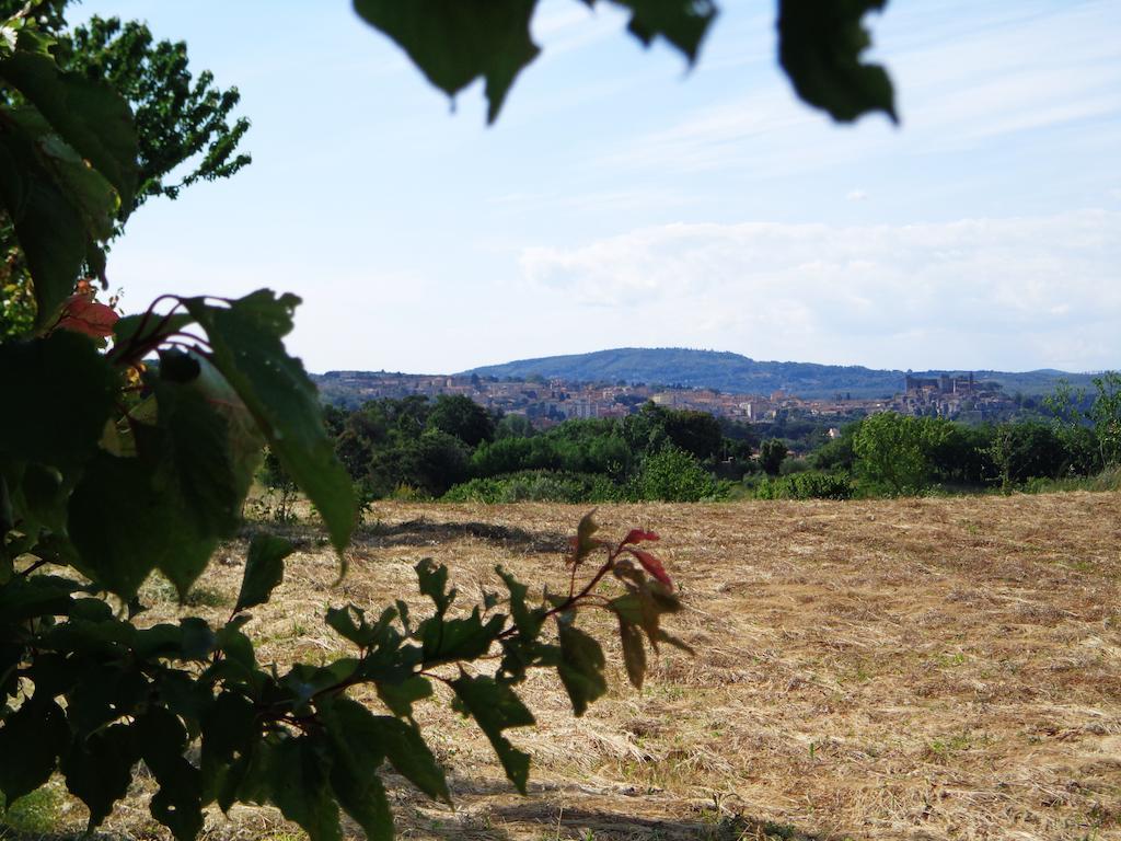 Agriturismo Fontelupo Bracciano  Exteriér fotografie